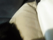 在北京操了一个95年的东北极品身材脸蛋大学美女,好像是刚开苞没多久一插就说：痛,痛,痛！