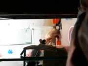 精品推薦 出租屋拍攝到的房東大學生女兒洗澡更衣 濃密黑黑的逼毛看得欲望十足～720P高清