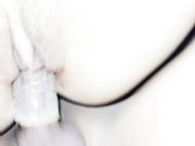 破新疆维吾尔族古丽的第一次