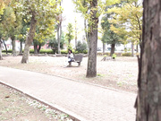 [TOTTE-242] ゆるふわ系カーディガンコーデJDが挑戦するごくぶっとディルドひっこ抜きゲーム！いおり編 西野絵美 - 1of5