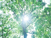 恋父女儿与痴汉老爸・我要把第一次给爸爸