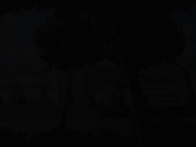 W ふたりの兄嫁 第一章