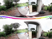 Virtual Reality Neighbors