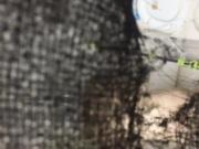 窗户洞中偷窥大波正妹洗澡下面逼痒痒吧不停搓了很久还一边和男朋友聊天普通话对白