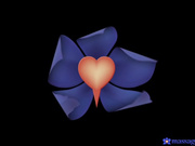 MassageRooms.18.11.24.Candice.Demellza