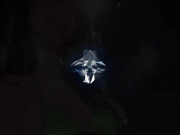 ConorCoxxx.18.08.31.Violet.Monroe.Cock.Sliding.Between.