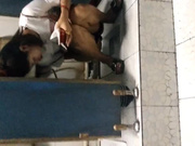 当面对着妹子拍系列3 妹子洗手间里面原来这么热闹