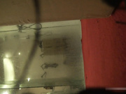 名门夜宴系列未流出过作品身材非常棒的模特小贞拍内衣广告洗澡换衣服被暗藏摄像机偷拍1080P高清无水印