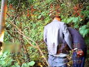 今天发个超级狠的，真是开眼界了，我猜你绝对没见过的，这画面太辣眼睛了哈哈，隐约能听清对白，不喜勿下