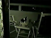 honeymoon-in-korea-812878