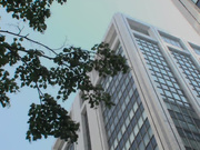 [SSIS-382] 媚薬キメセク相部屋NTR 殺したいほど憎くて最高に相性抜群だった絶倫元彼にハメられて…星宮一花 - 1of5